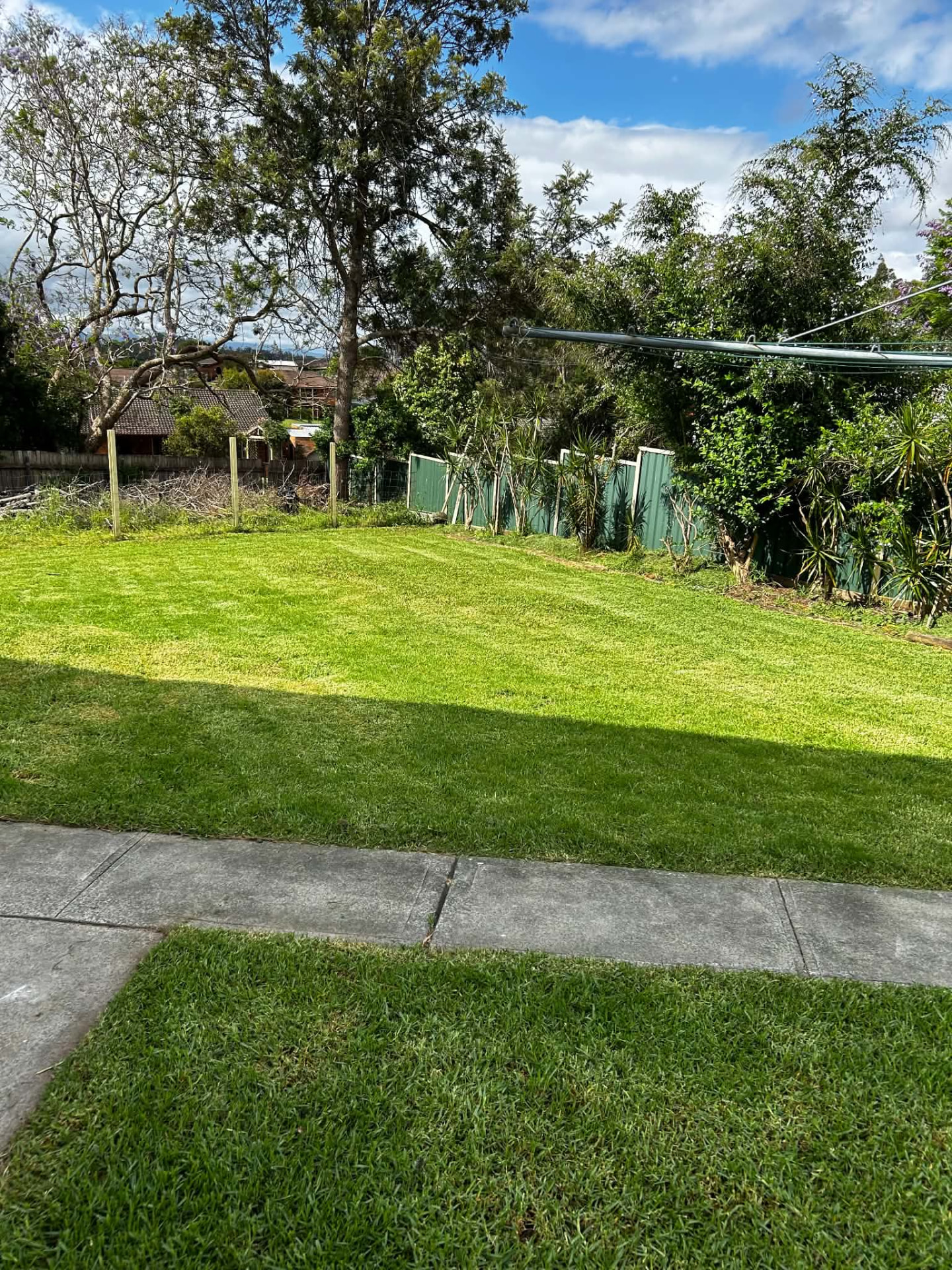 Freshly mowed lawn with clean stripes after a Logan's Lawns visit