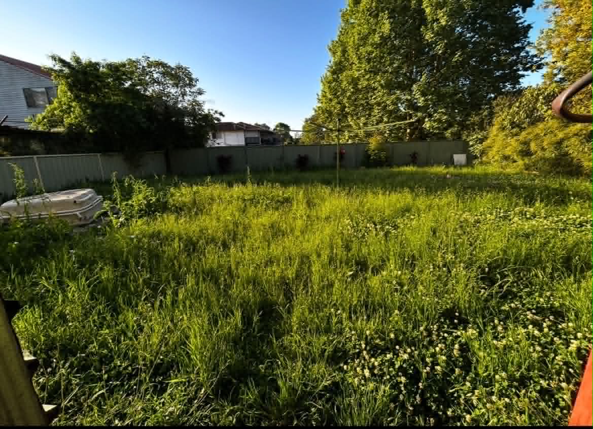Overgrown backyard before mowing and clean-up