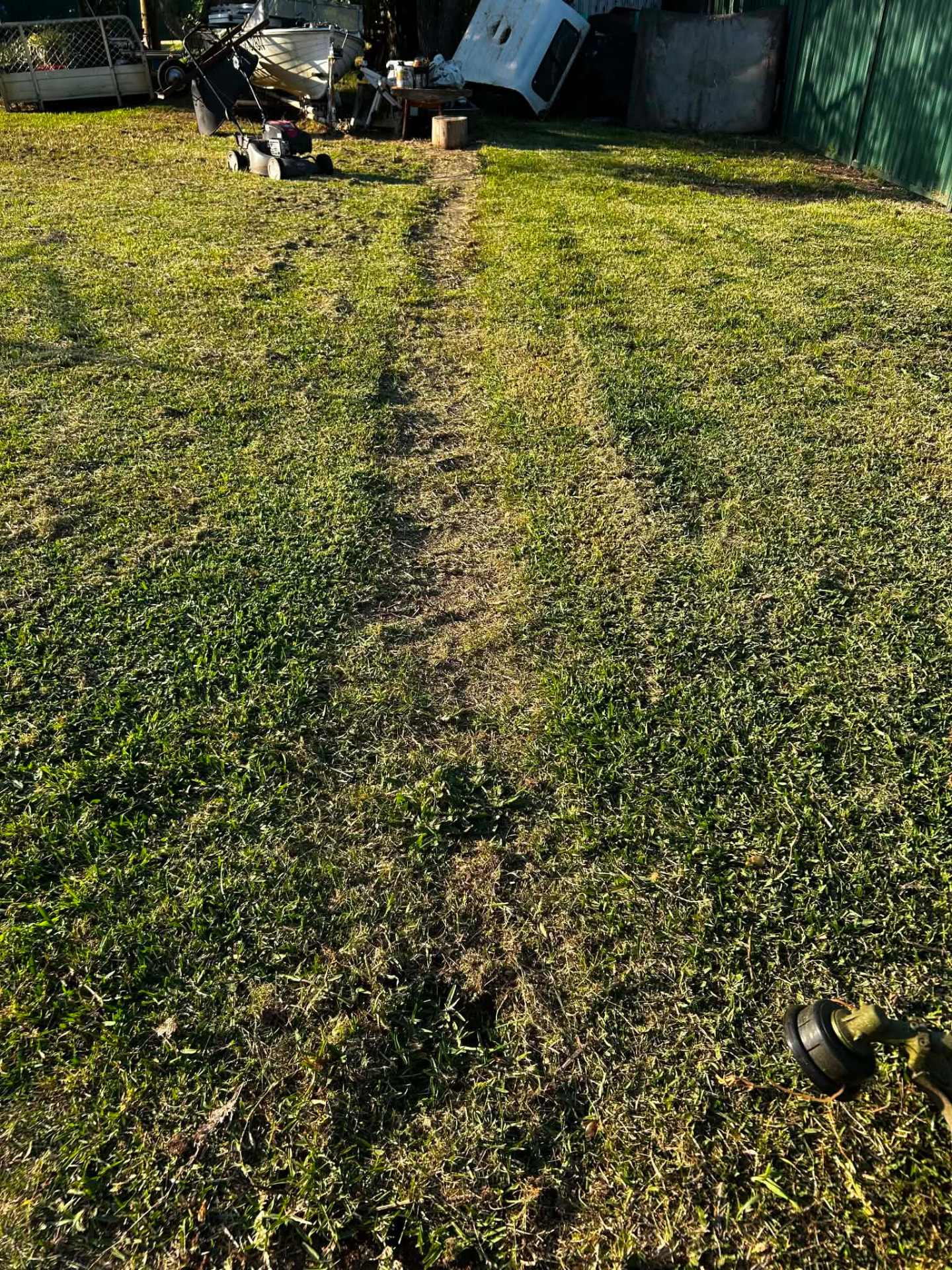 Worn strip through the grass before yard clean-up